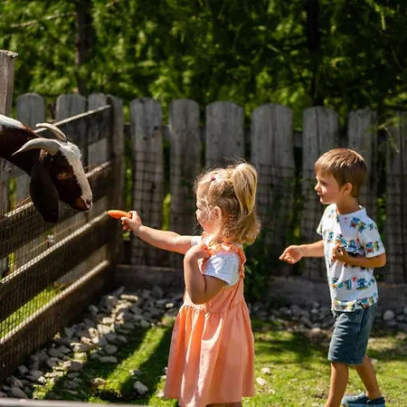 Almwelt Austria ホテル