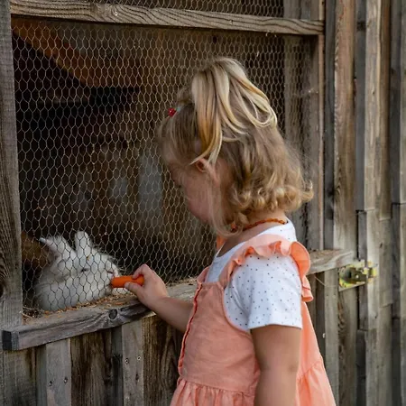 ホテル Almwelt Austria 4*