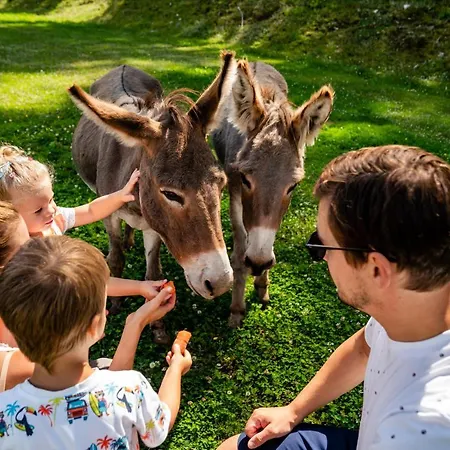 Almwelt Austria ホテル