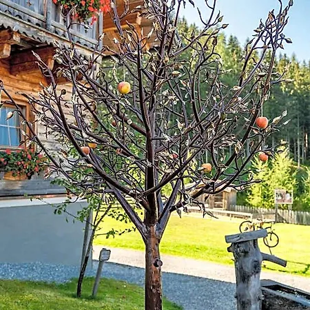 ホテル Almwelt Austria 4*