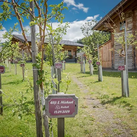 Almwelt Austria فندق