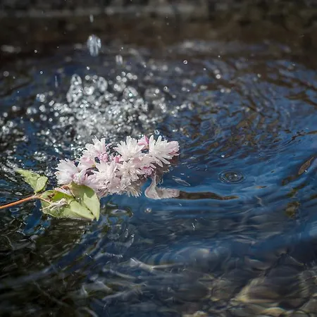 Almwelt Austria シュラートミンク