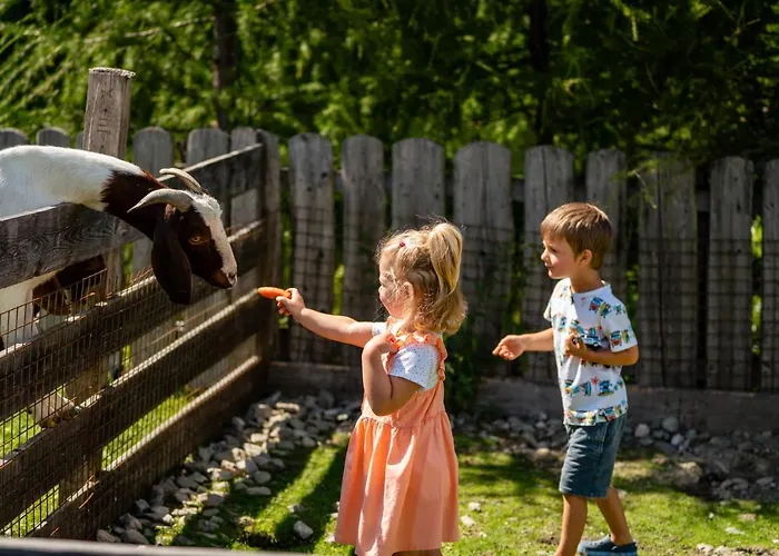 Almwelt Austria فندق