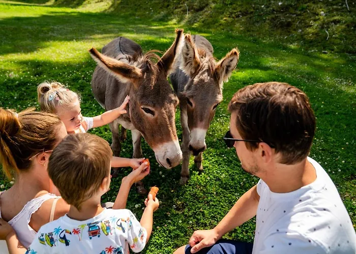 Almwelt Austria فندق