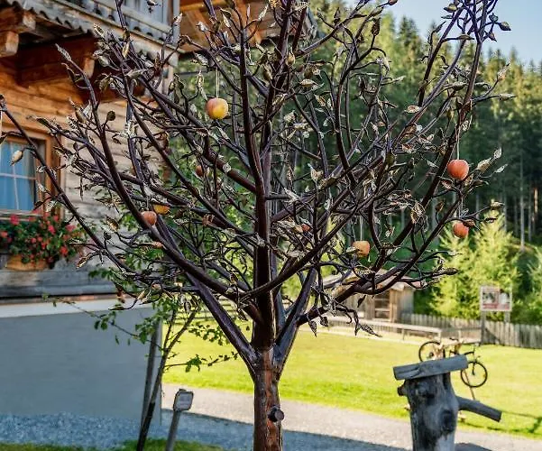 Hotel Almwelt Austria Schladming