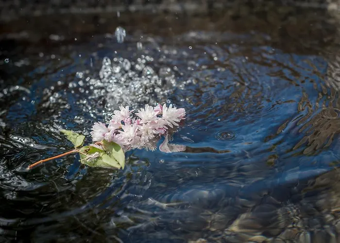 Almwelt Austria سخلادميخ